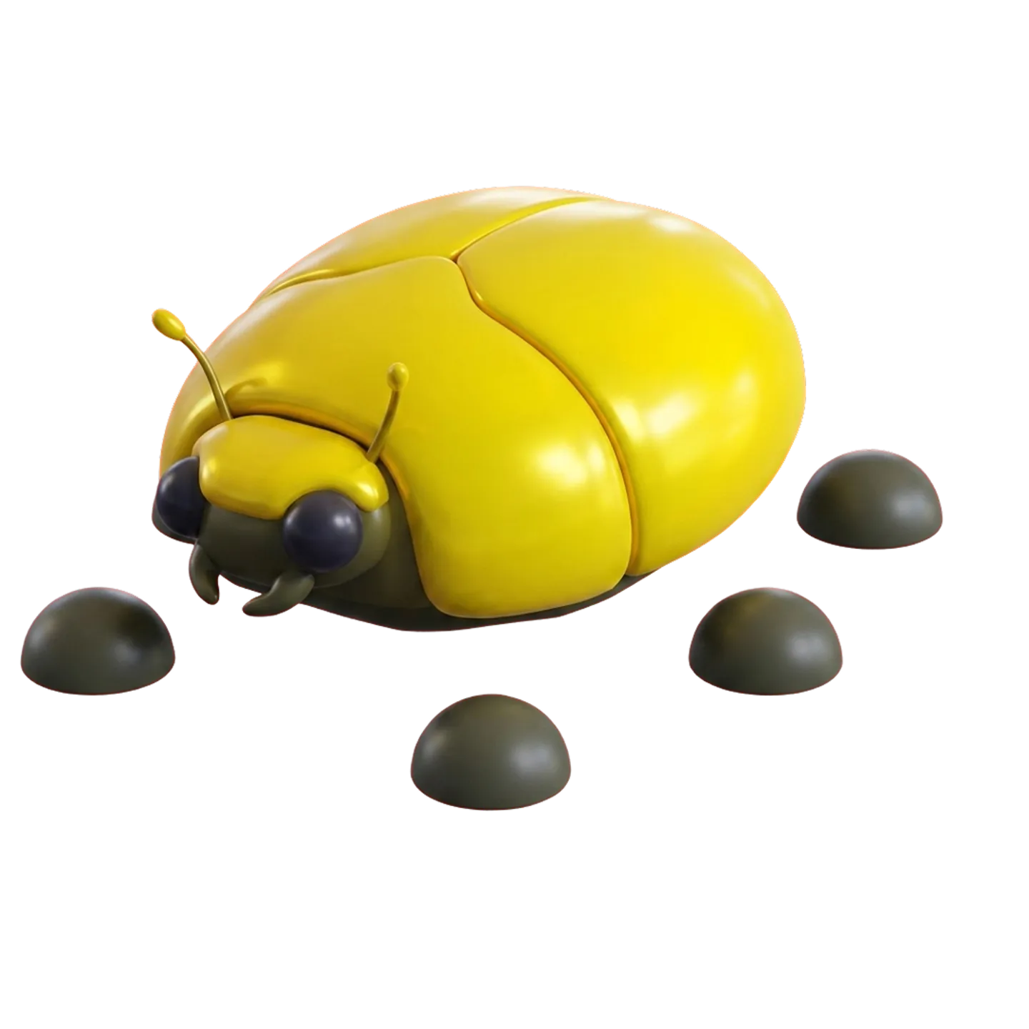 N Giant Gold Scarab