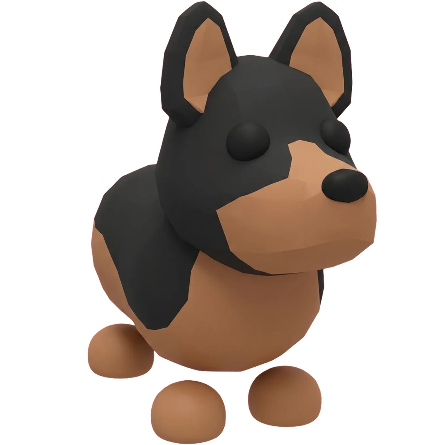 N Australian Kelpie