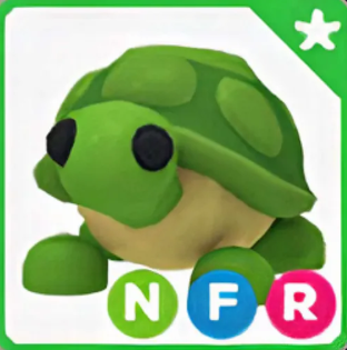NFR Turtle