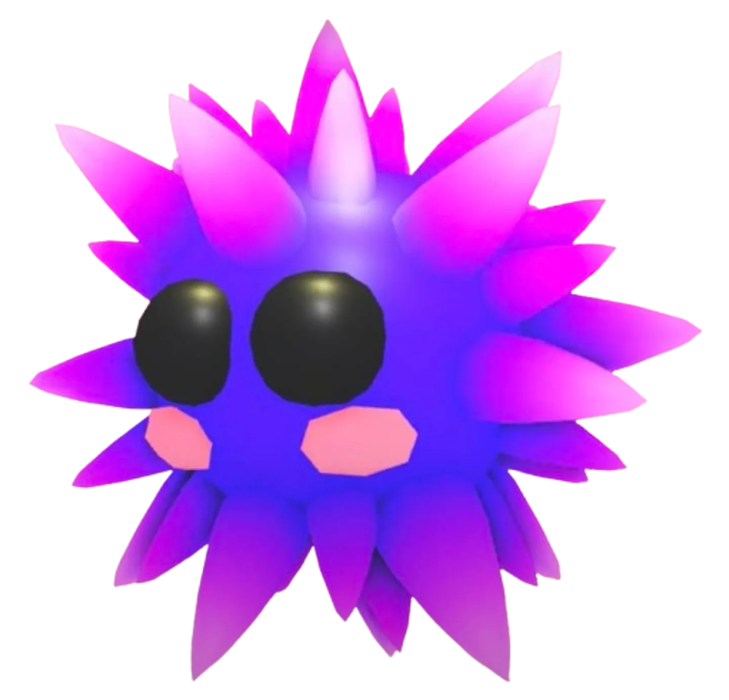 Urchin