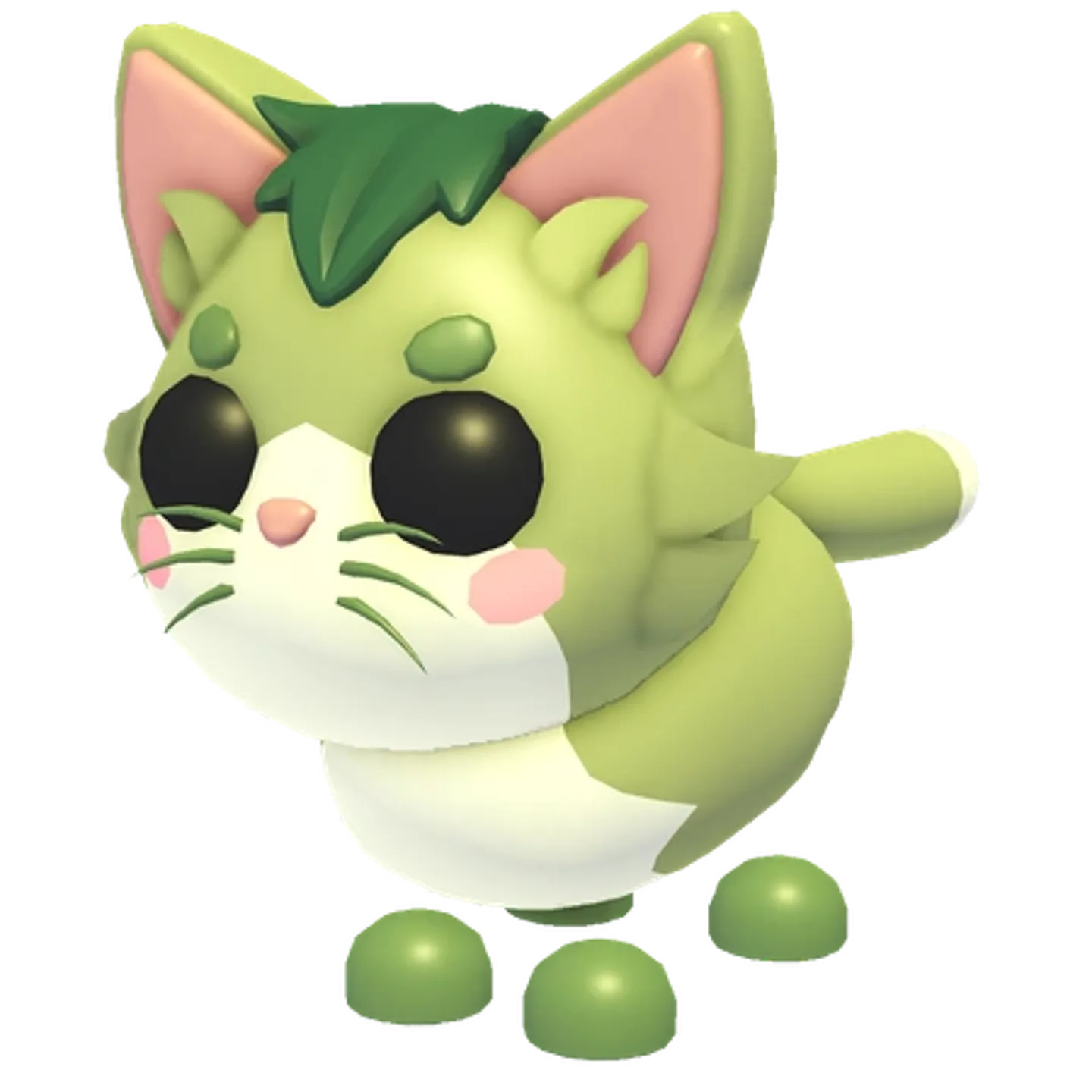 Matcha Cat