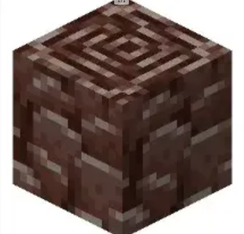 Ancient Debri HugoSMP