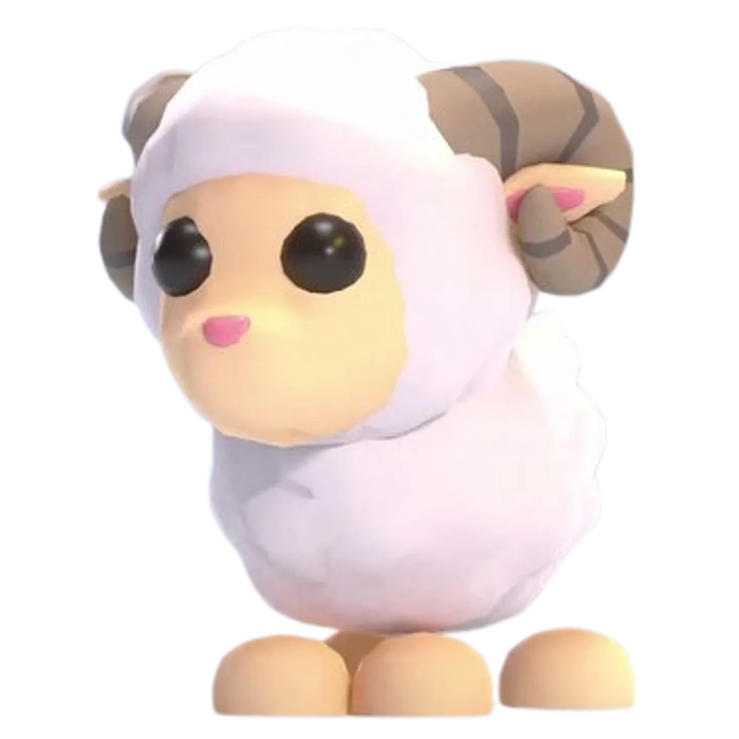 Ram