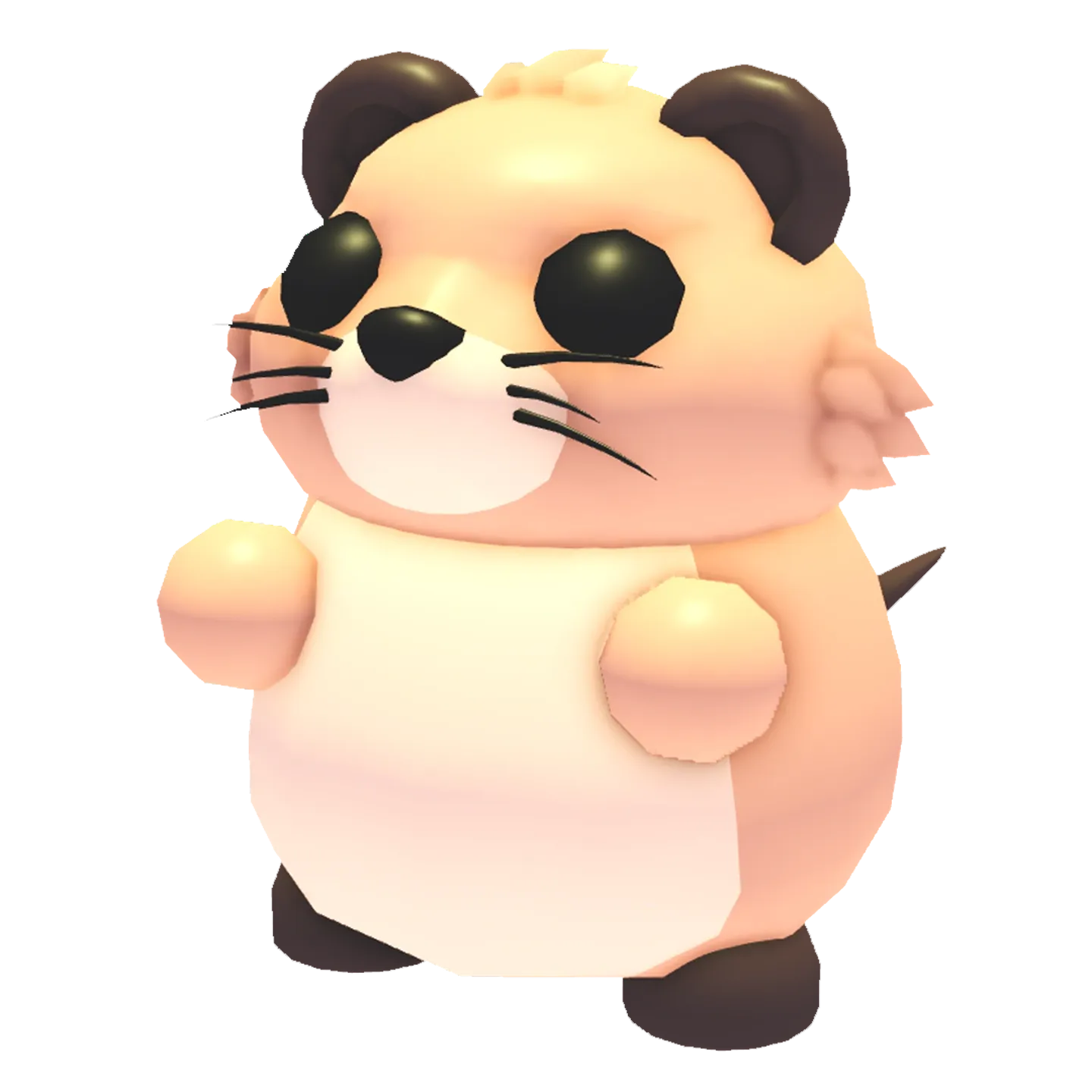 Muskrat