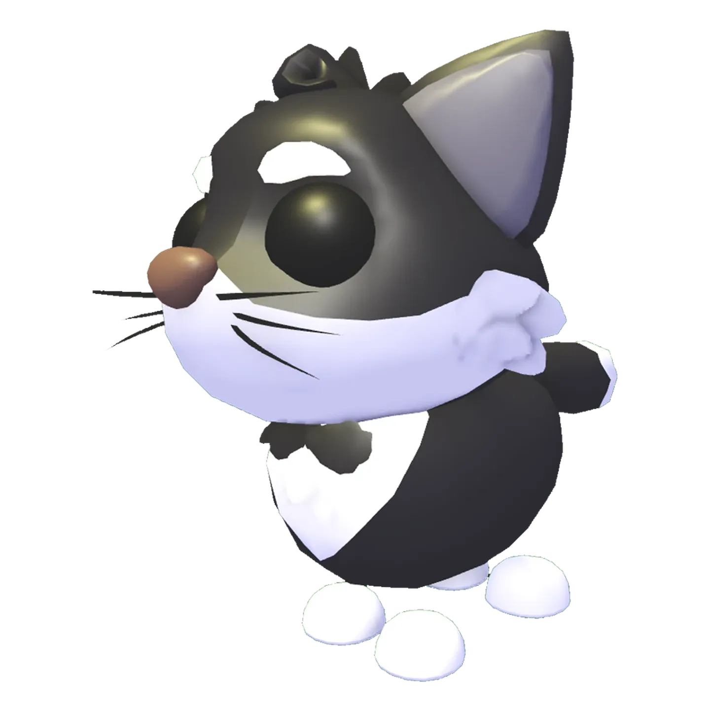 Tuxedo Cat