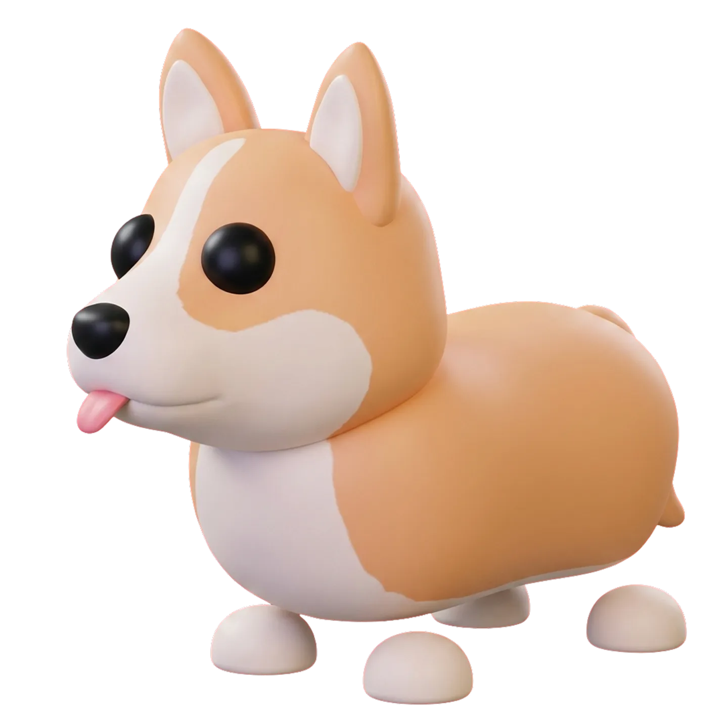 Corgi