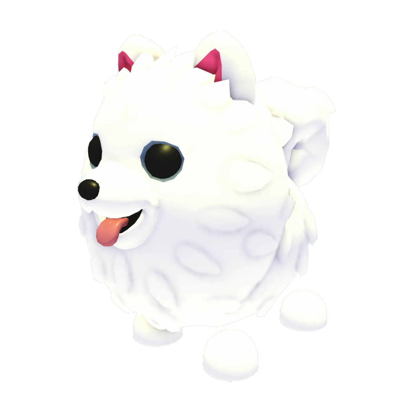 Samoyed