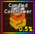 Candied Cornflower ✨