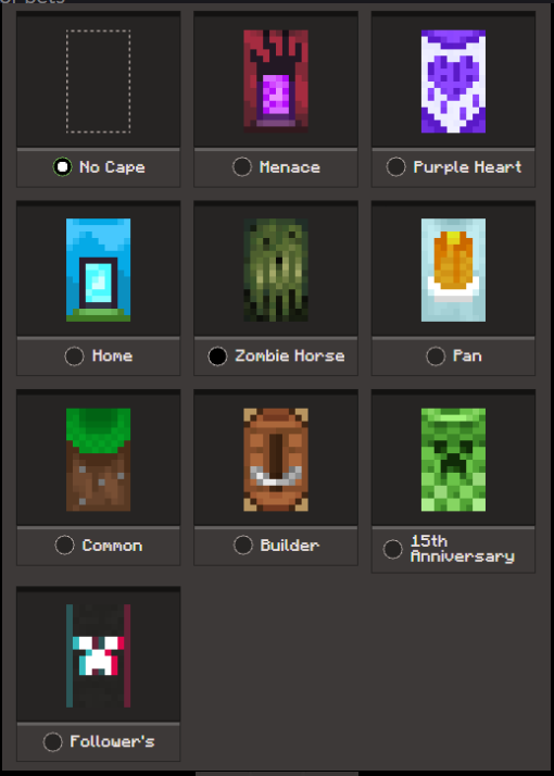 Java & Bedrock ⚜️11Capes