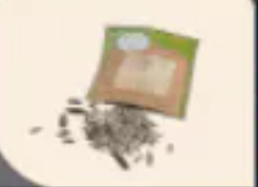 500 Seeds