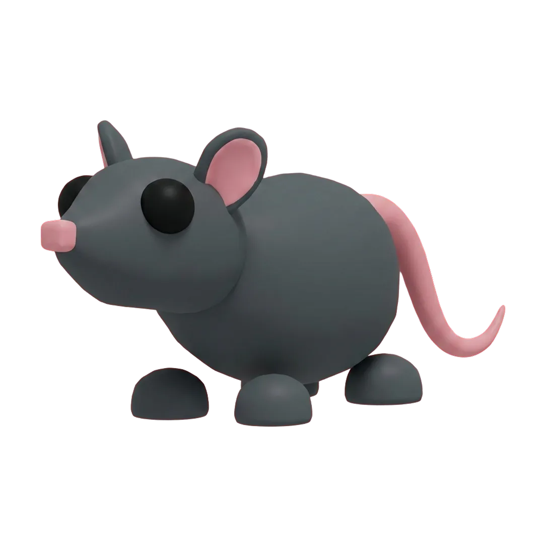 Rat