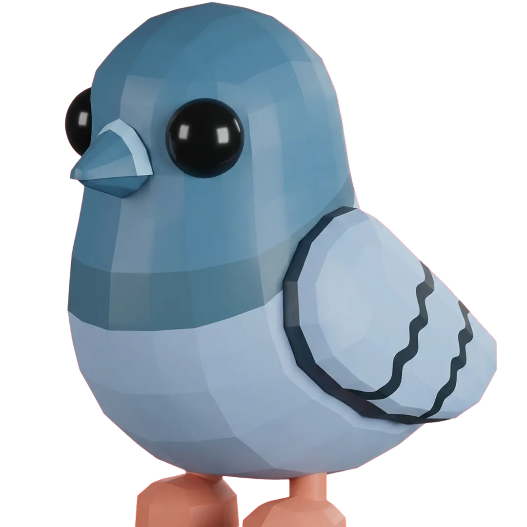 Rock Pigeon