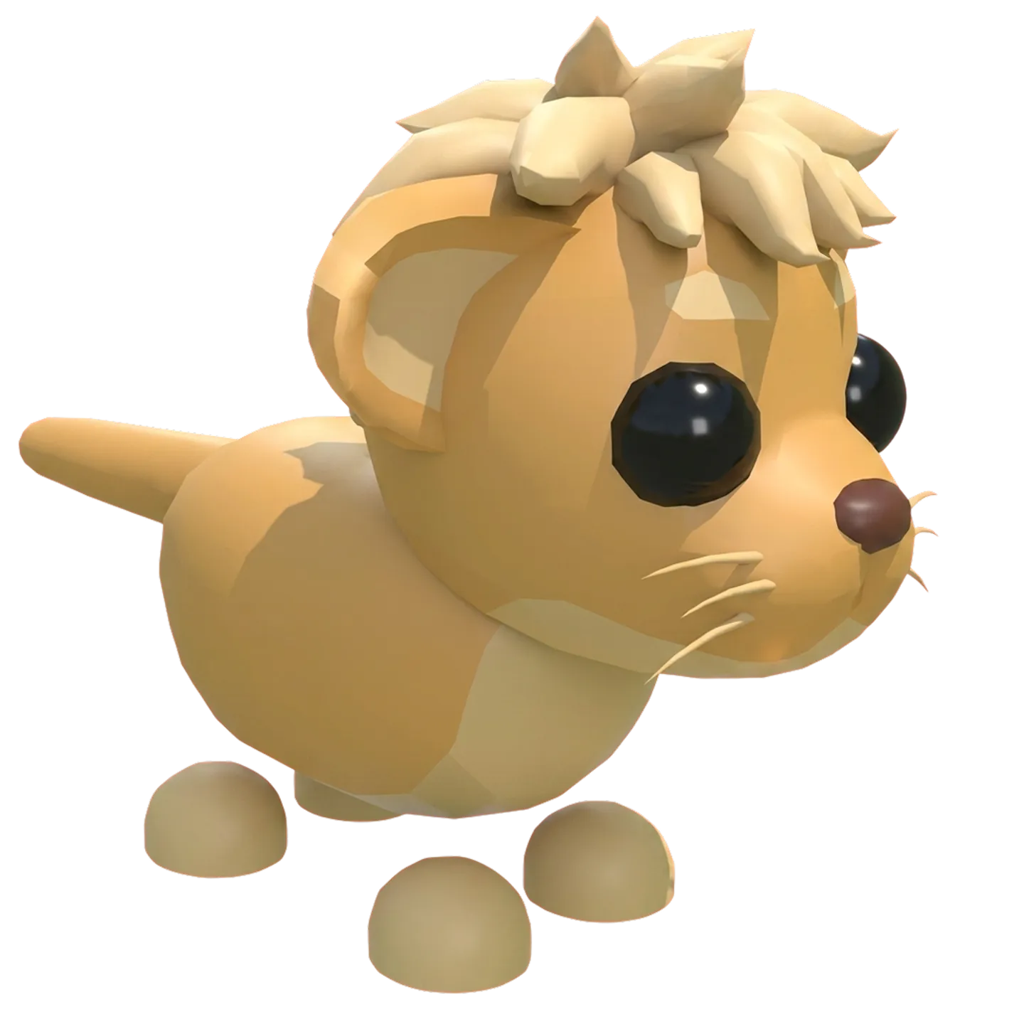 Lion Cub