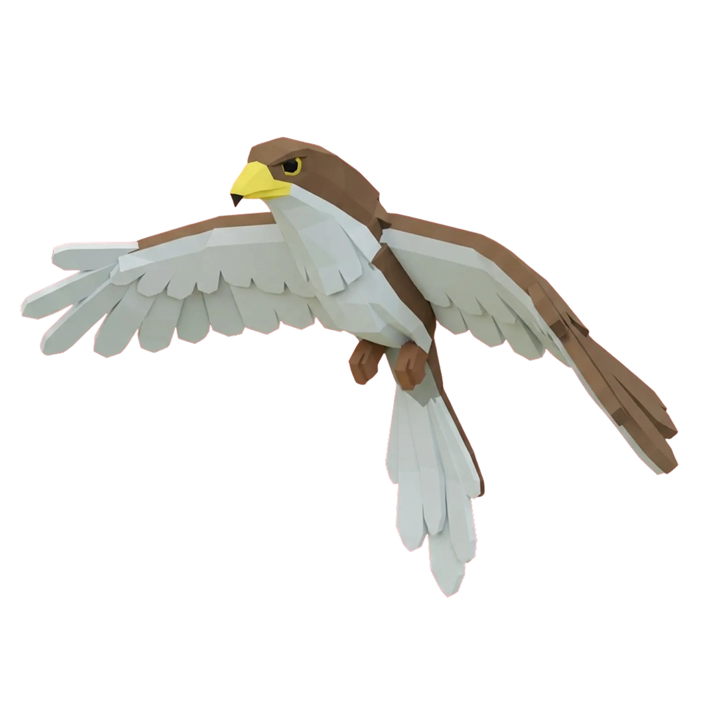 Hawk