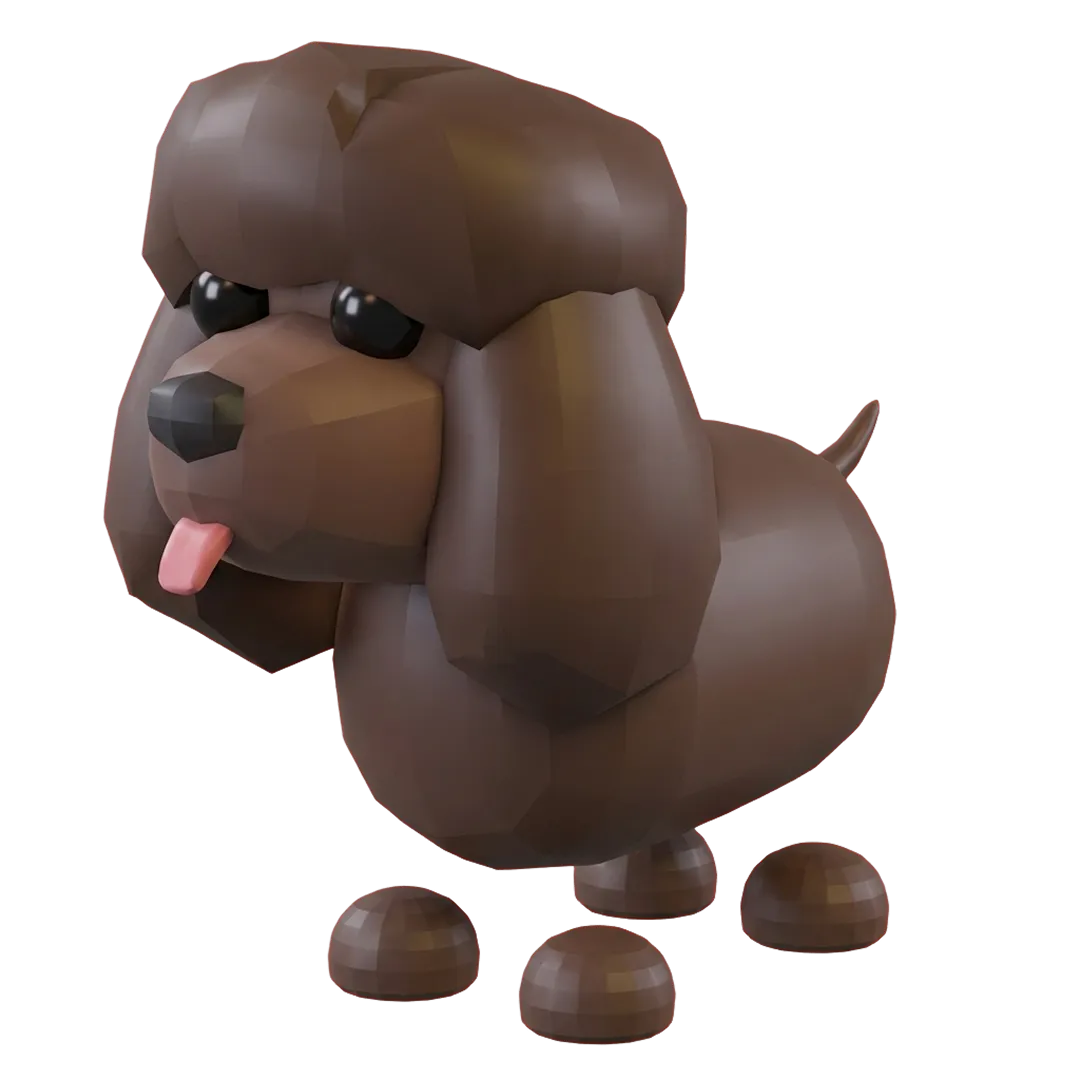 Irish Water Spaniel