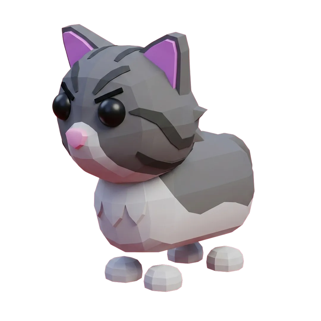 Persian Cat