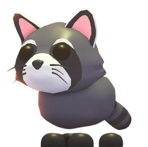 Raccoon