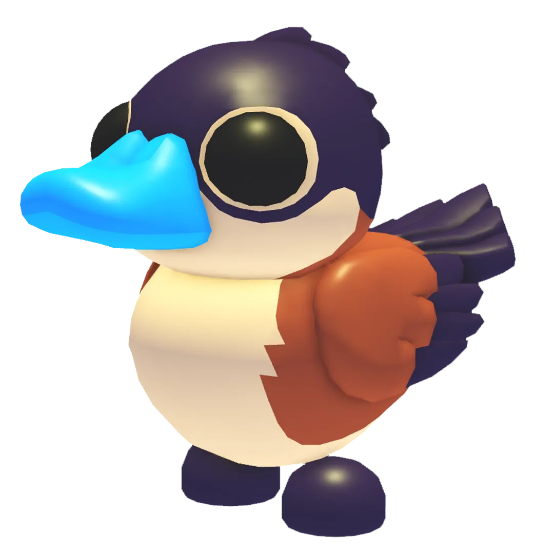 Ruddy Duck