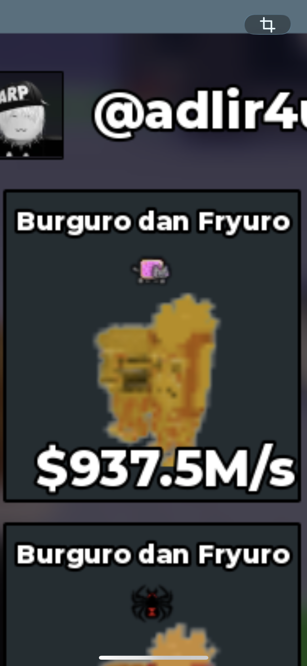 BS12069 Burguro and Fryuro Gold 937.5M/s