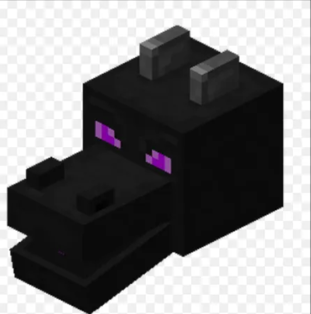๐ Dragon Head | DonutSMP | Fast Delivery | In Stock