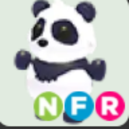 Giant Panda NFR