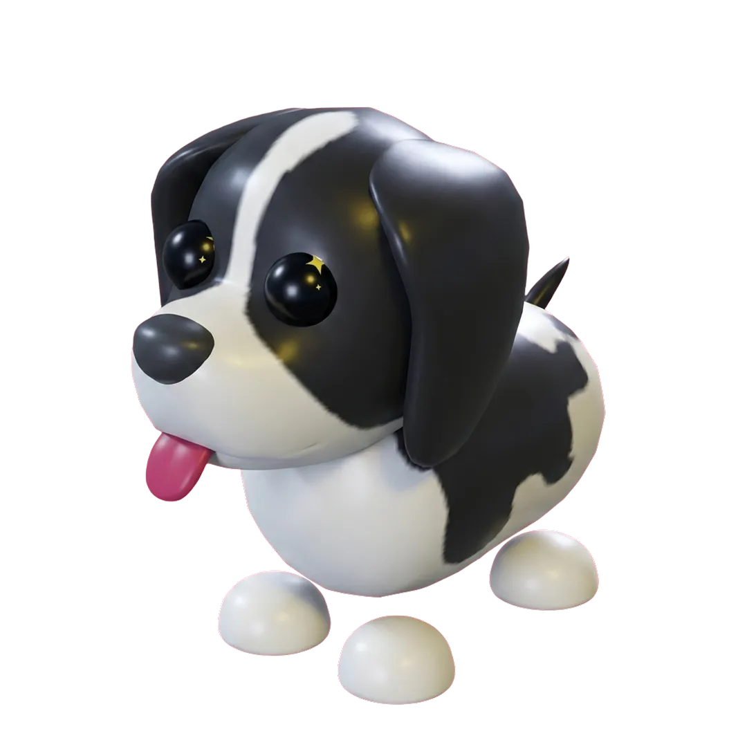 Black Springer Spaniel