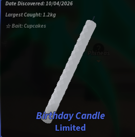 Birthday Candle Limited | Candle Rod Materail