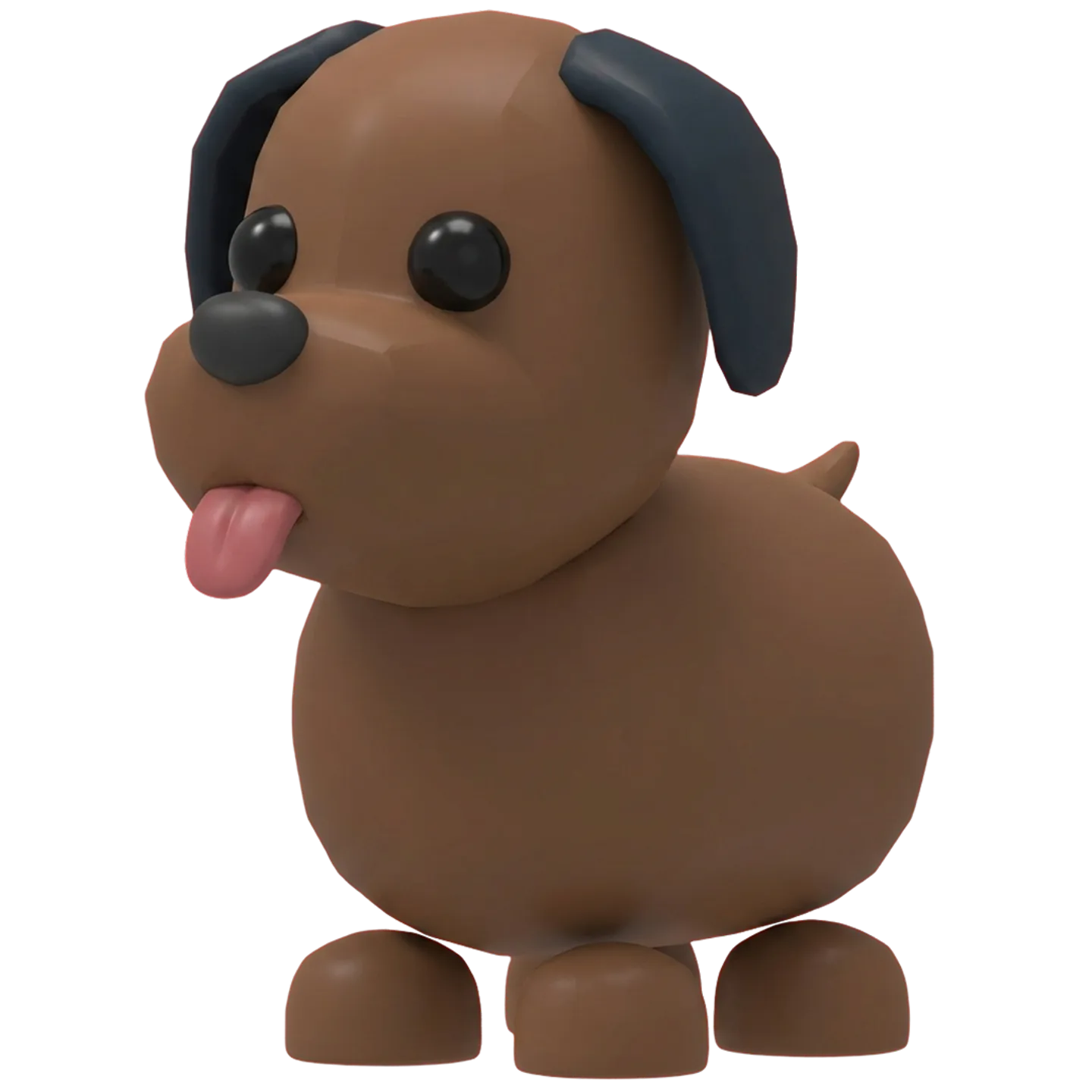Chocolate Labrador