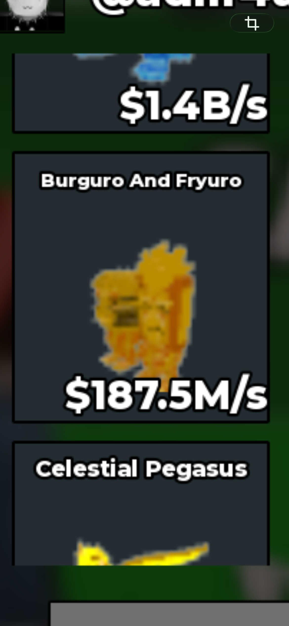 BS12545 Burguro and Fryuro Gold 187.5M/s