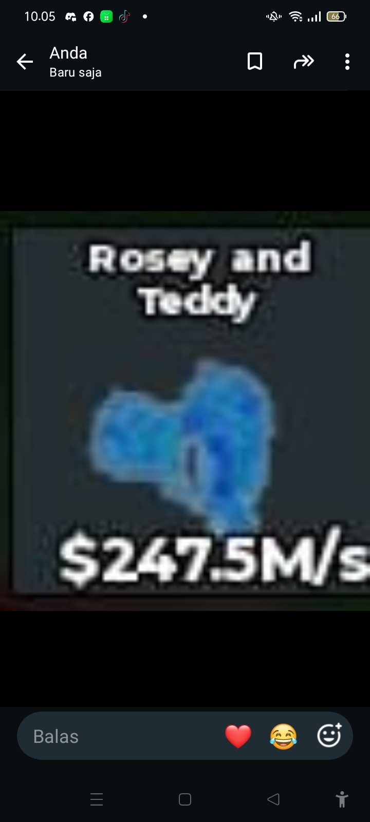 BS12847 Rosey and Teddy N Diamond 247.5M/s