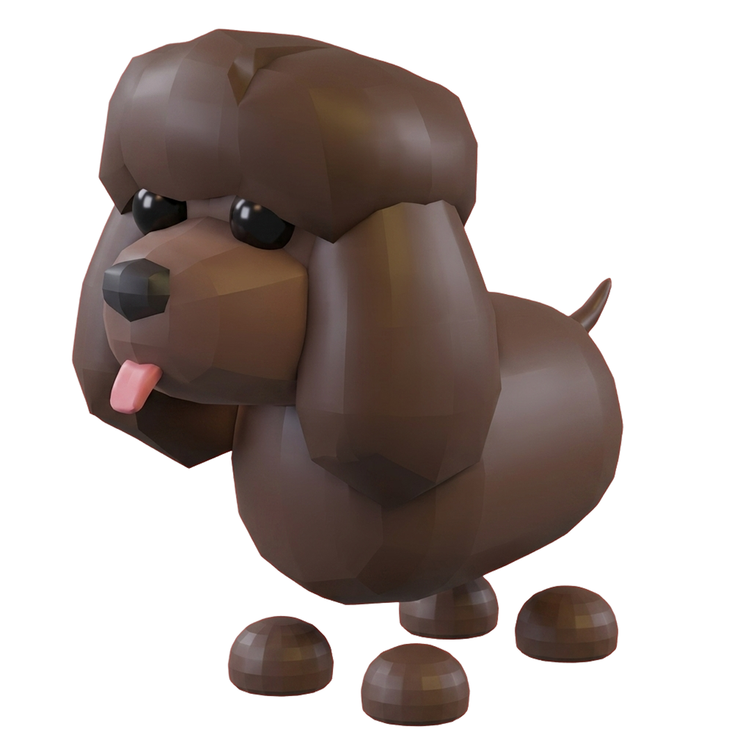 ⭐ FR Irish Water Spaniel ⭐