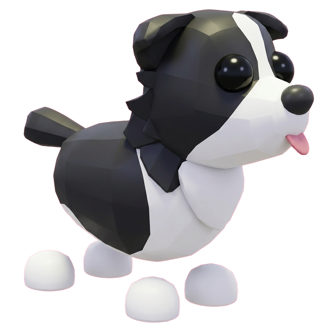 ⭐ FR Border Collie - Adopt Me ⭐