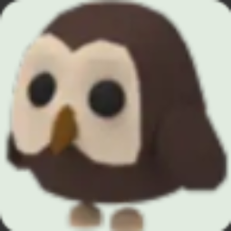 Owl Adopt Me