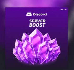 14 Server Boosts 🚀 | 1 Month | Instant Delivery ⚡