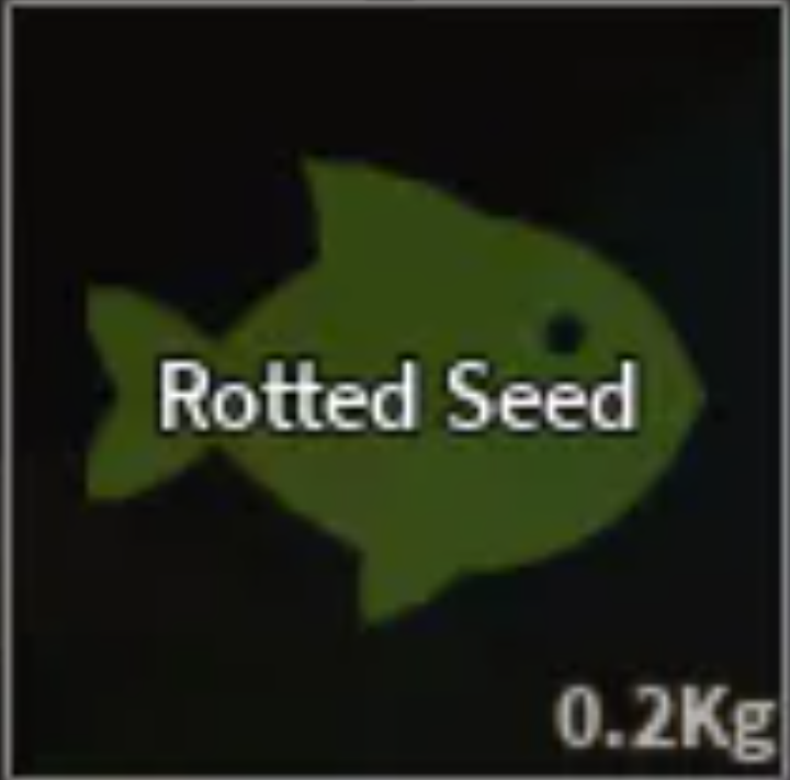 💗ROTTED SEED | READY ITEM💗