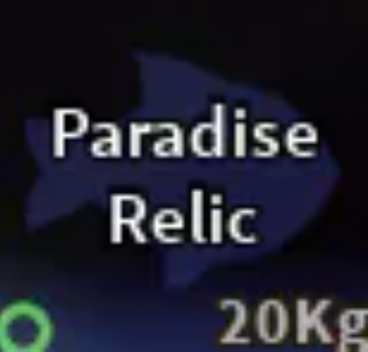 💗PARADISE RELIC | FAST DELIVERY 💗