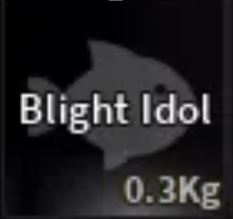 💗BLIGHT IDOL | SECRET | READY ITEM💗