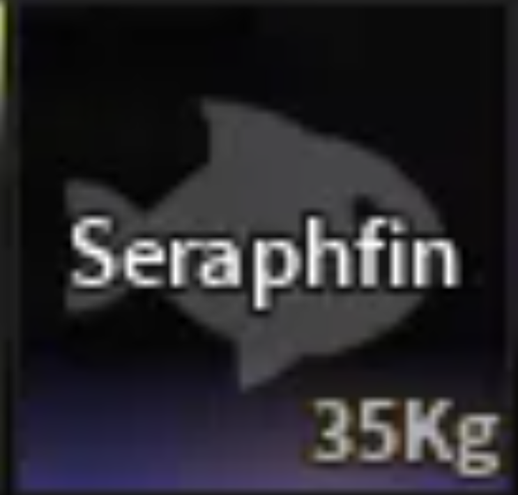 💗SERAPHFIN | DIVINE SECRET💗