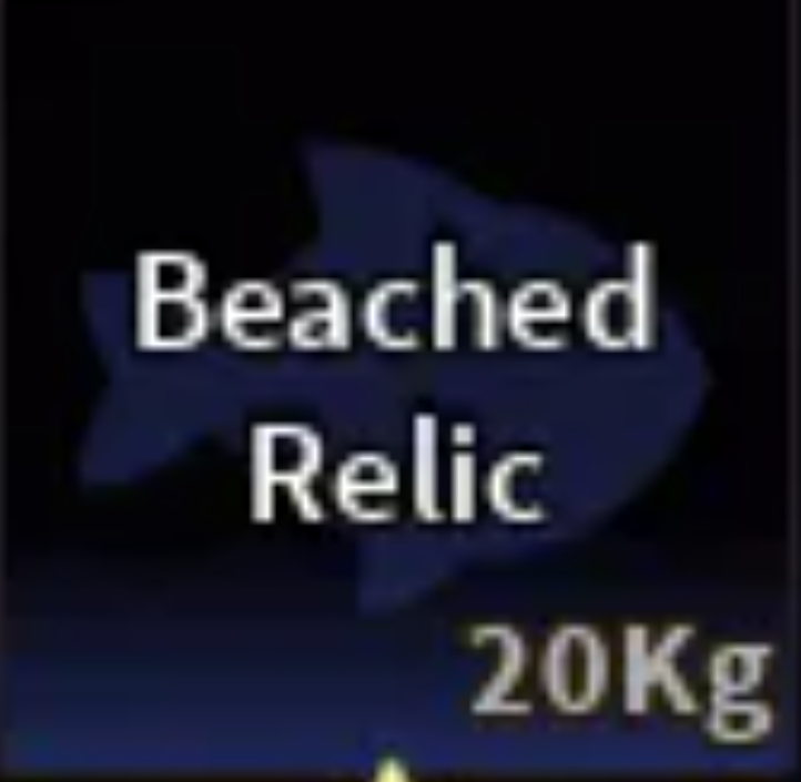 💗BEACHED RELIC | FAST DELIVERY 💗