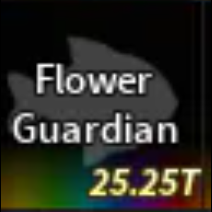 💗FLOWER GUARDIAN | READY ITEM💗
