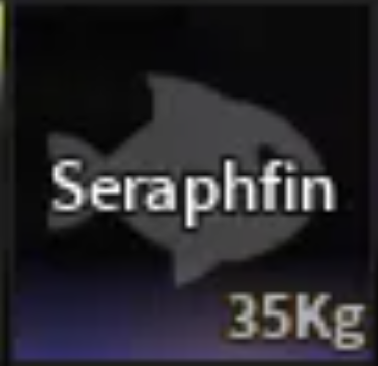 💗SERAPHFIN | DIVINE SECRET💗