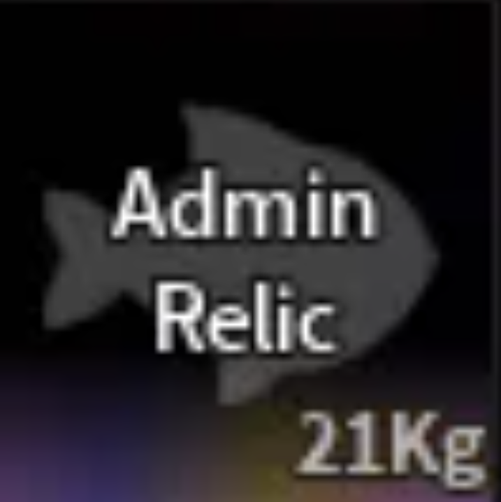 💗ADMIN RELIC | FAST DELIVERY 💗