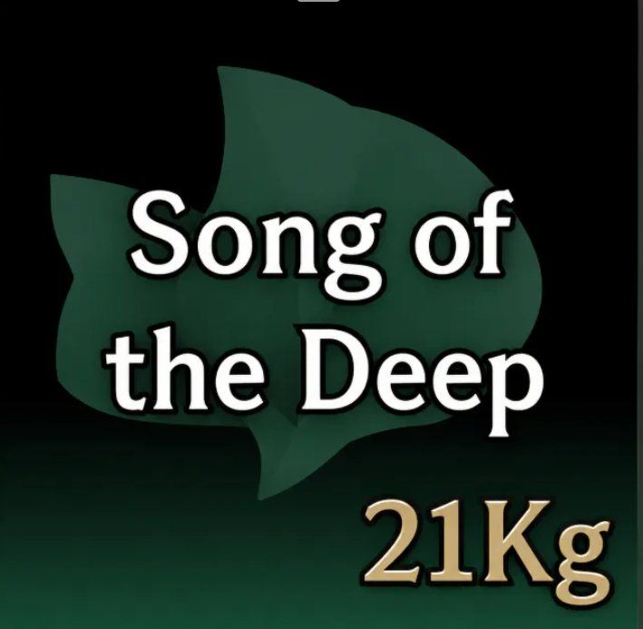 💗 SONG OF THE DEEP | READY ITEM💗