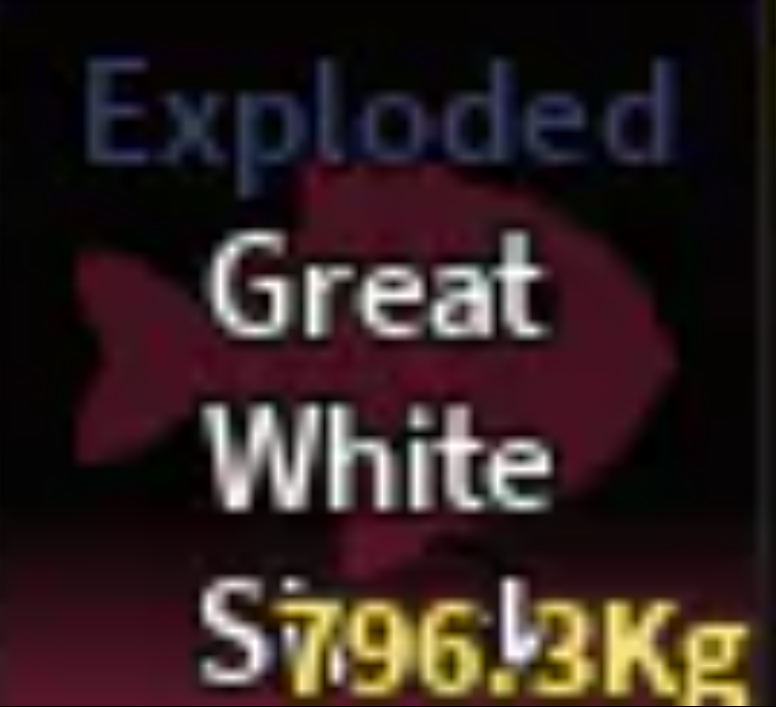 Exploded Great White Shark I Fast Delivery