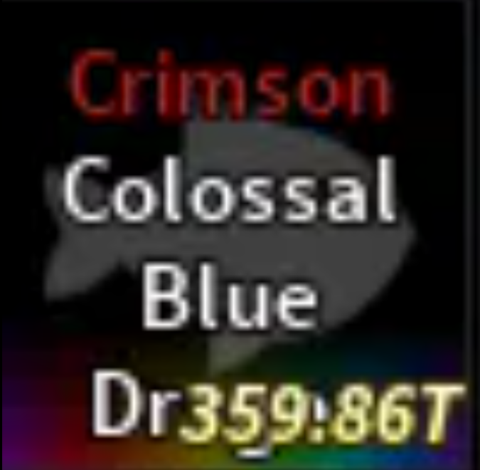 Crimson Colossal Blue Dragon | Fast Delivery |