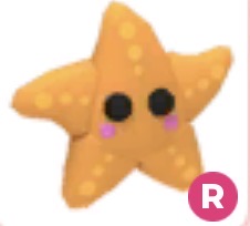 Starfish⭐️ R