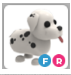 FR DALMATIAN – Adopt Me - FAST DELIVERY & TRUSTED