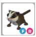 FR SUGAR GLIDER – Adopt Me - FAST DELIVERY & TRUSTED
