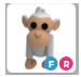 FR ALBINO MONKEY – Adopt Me - FAST DELIVERY & TRUSTED