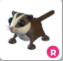 R SUGAR GLIDER – Adopt Me - FAST DELIVERY & TRUSTED